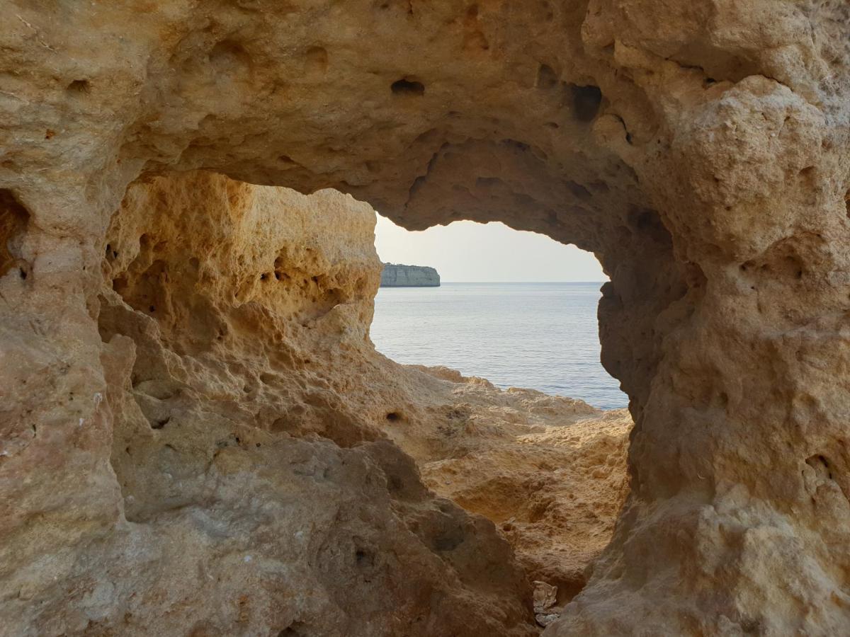 Ml Central Vila Apartment Καρβοέιρο Εξωτερικό φωτογραφία